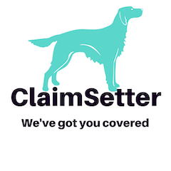 ClaimSetter Logo